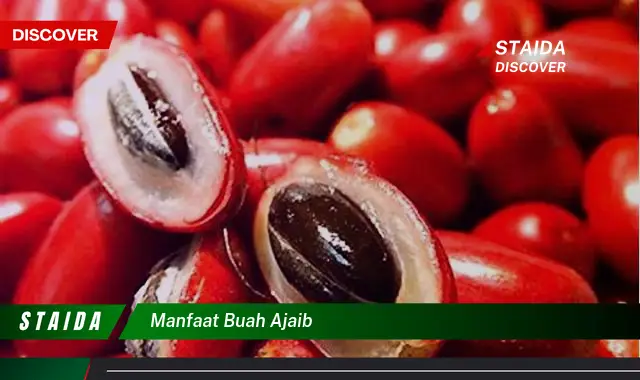 manfaat buah ajaib