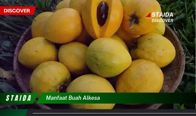 manfaat buah alkesa