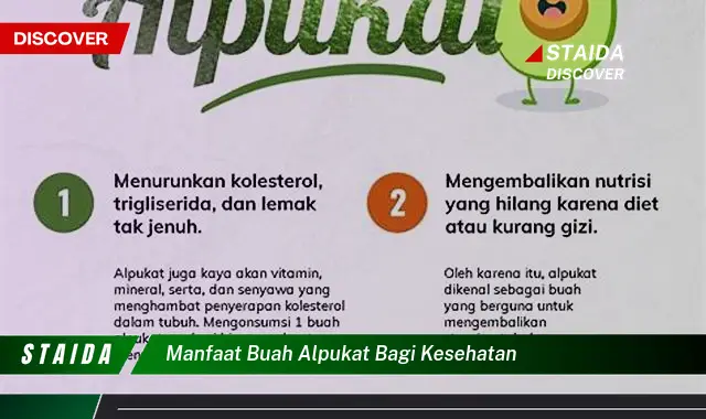 manfaat buah alpukat bagi kesehatan