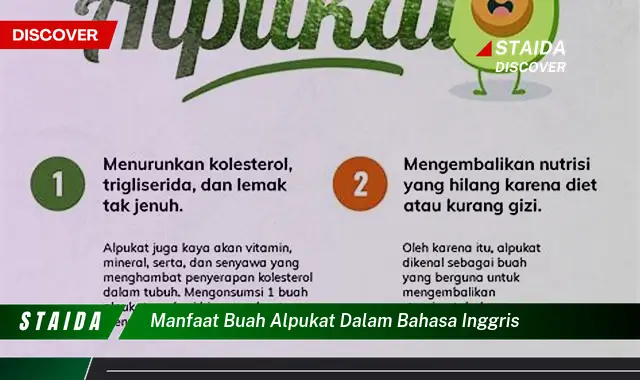 manfaat buah alpukat dalam bahasa inggris