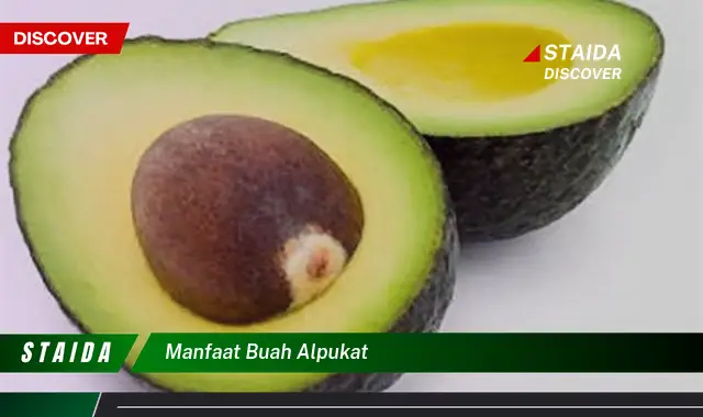 manfaat buah alpukat