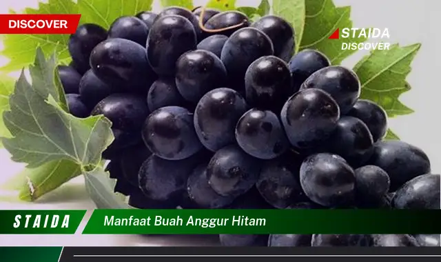 manfaat buah anggur hitam