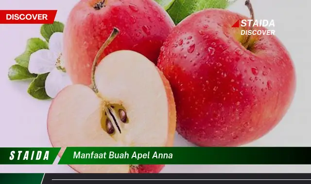 manfaat buah apel anna