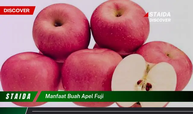 manfaat buah apel fuji