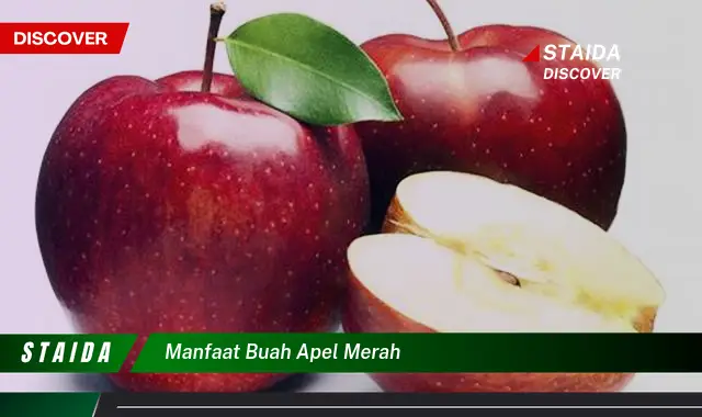 manfaat buah apel merah