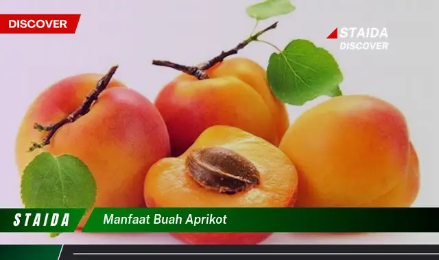 manfaat buah aprikot