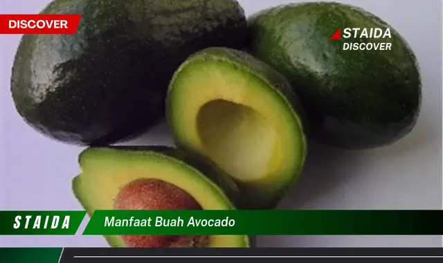 manfaat buah avocado