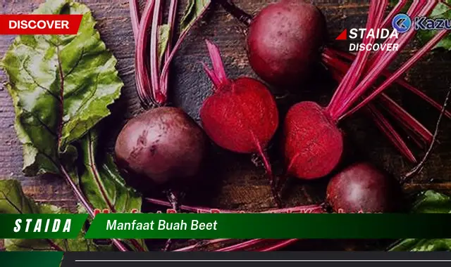 manfaat buah beet