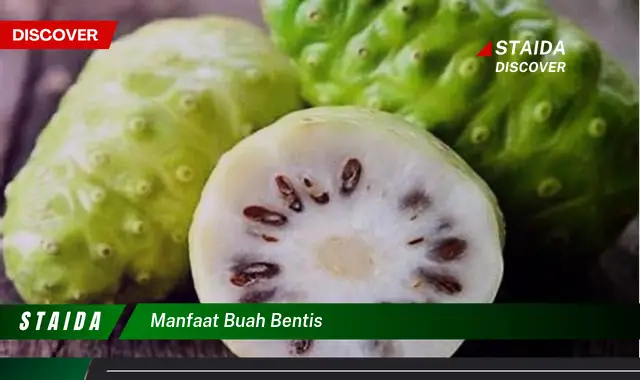 manfaat buah bentis