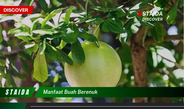 manfaat buah berenuk