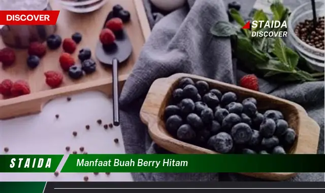 manfaat buah berry hitam