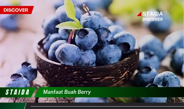 manfaat buah berry