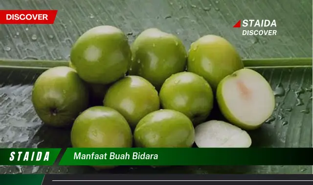 manfaat buah bidara