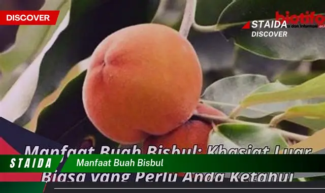 manfaat buah bisbul