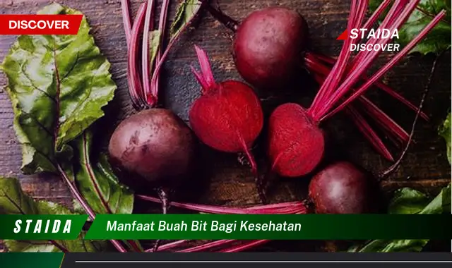 manfaat buah bit bagi kesehatan