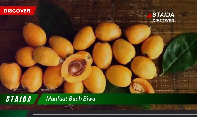 manfaat buah biwa