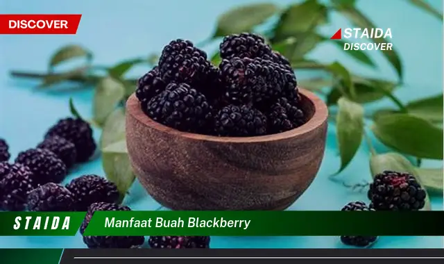 manfaat buah blackberry