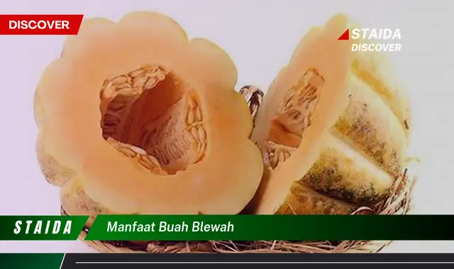 manfaat buah blewah