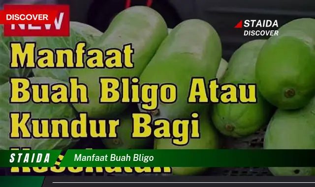 manfaat buah bligo