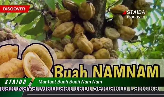 manfaat buah buah nam nam