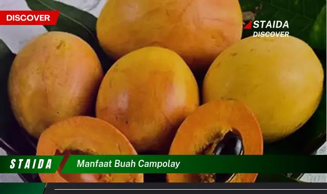 manfaat buah campolay