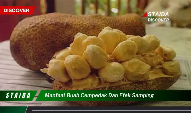 manfaat buah cempedak dan efek samping