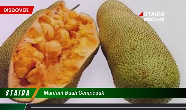 manfaat buah cempedak