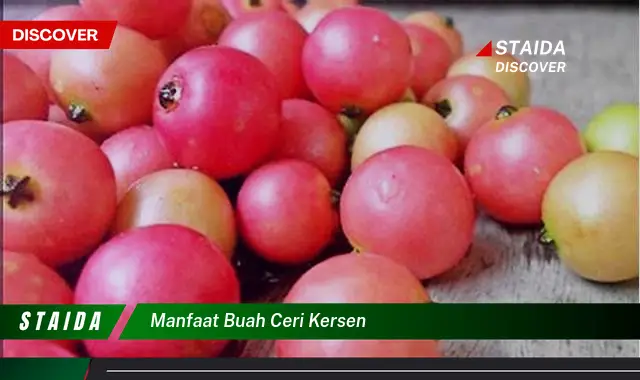 manfaat buah ceri kersen