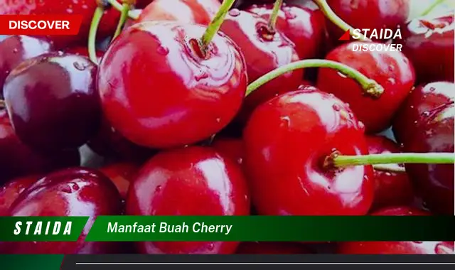 manfaat buah cherry