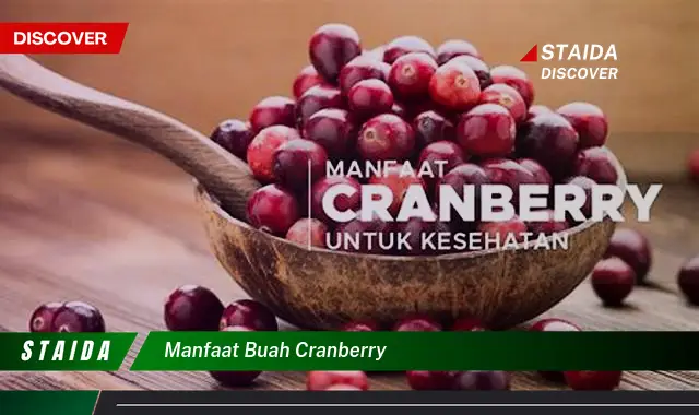 manfaat buah cranberry