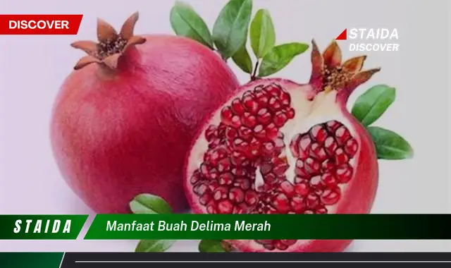 manfaat buah delima merah