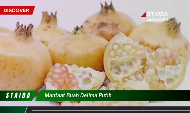 manfaat buah delima putih