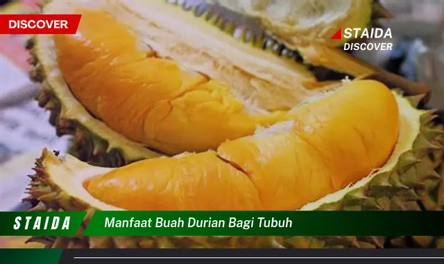 manfaat buah durian bagi tubuh