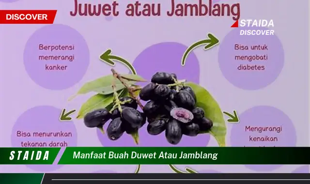 manfaat buah duwet atau jamblang