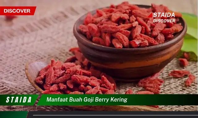 manfaat buah goji berry kering