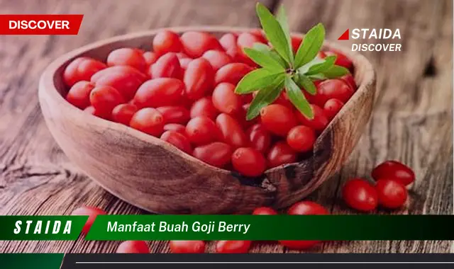 manfaat buah goji berry