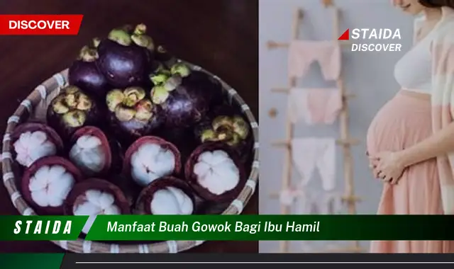 manfaat buah gowok bagi ibu hamil