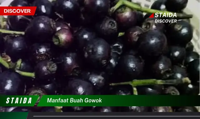 manfaat buah gowok