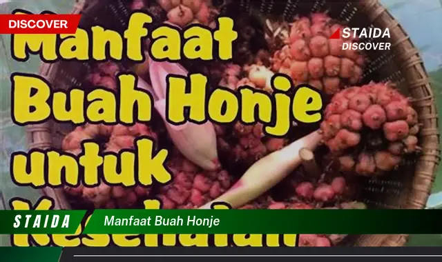 manfaat buah honje