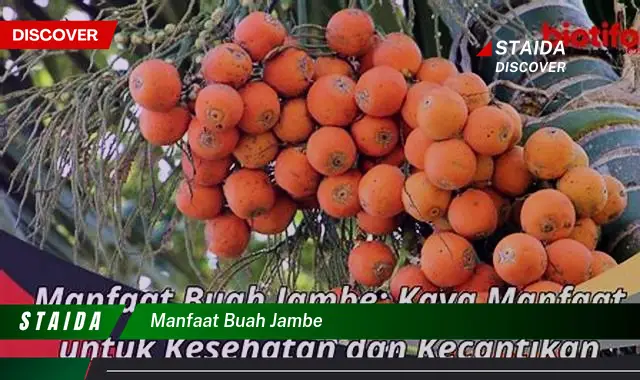 manfaat buah jambe