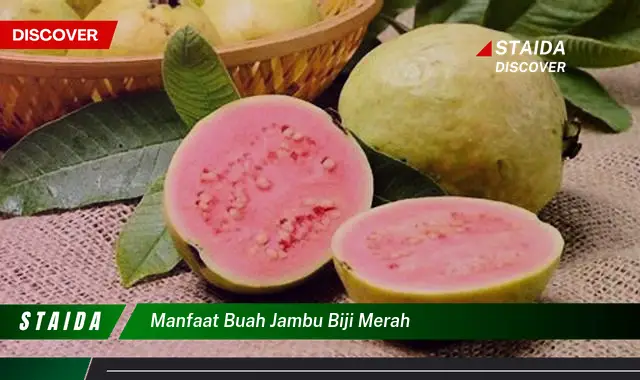 manfaat buah jambu biji merah