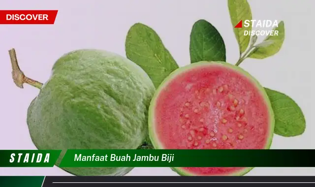 manfaat buah jambu biji