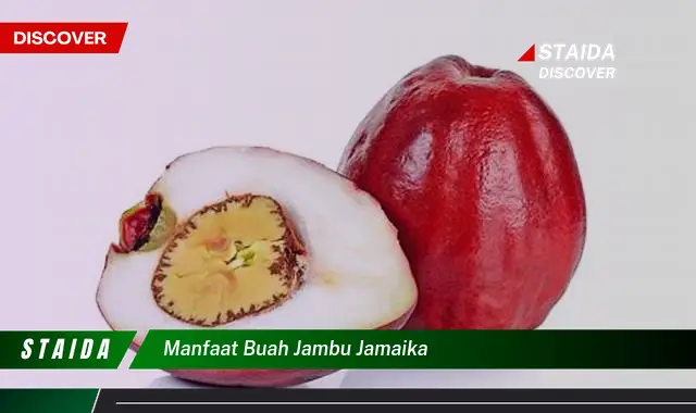 manfaat buah jambu jamaika