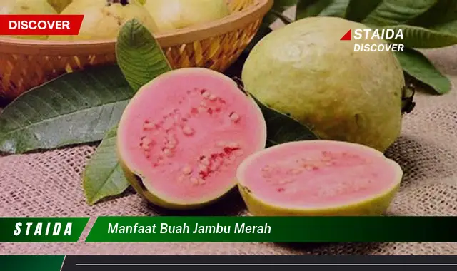 manfaat buah jambu merah