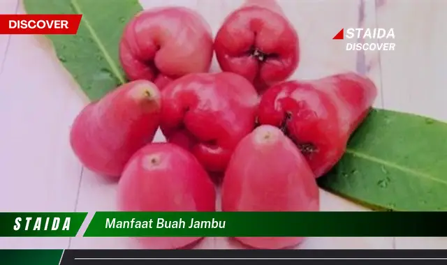 manfaat buah jambu