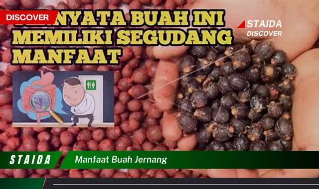 manfaat buah jernang