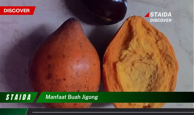 manfaat buah jigong