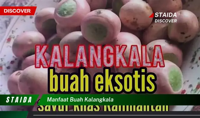 manfaat buah kalangkala