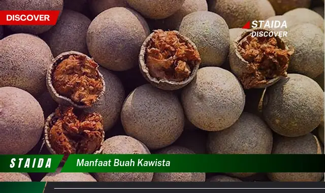 manfaat buah kawista