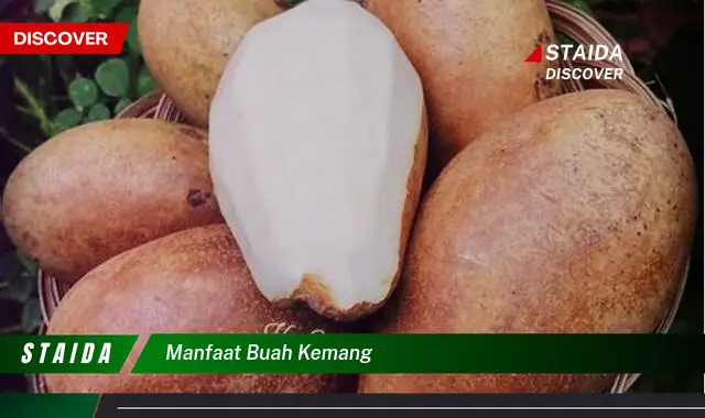 manfaat buah kemang